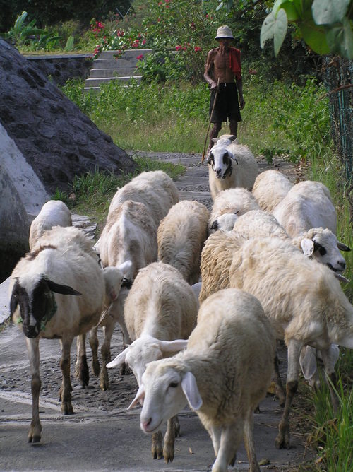 2005_indonesiatrip_113_2
